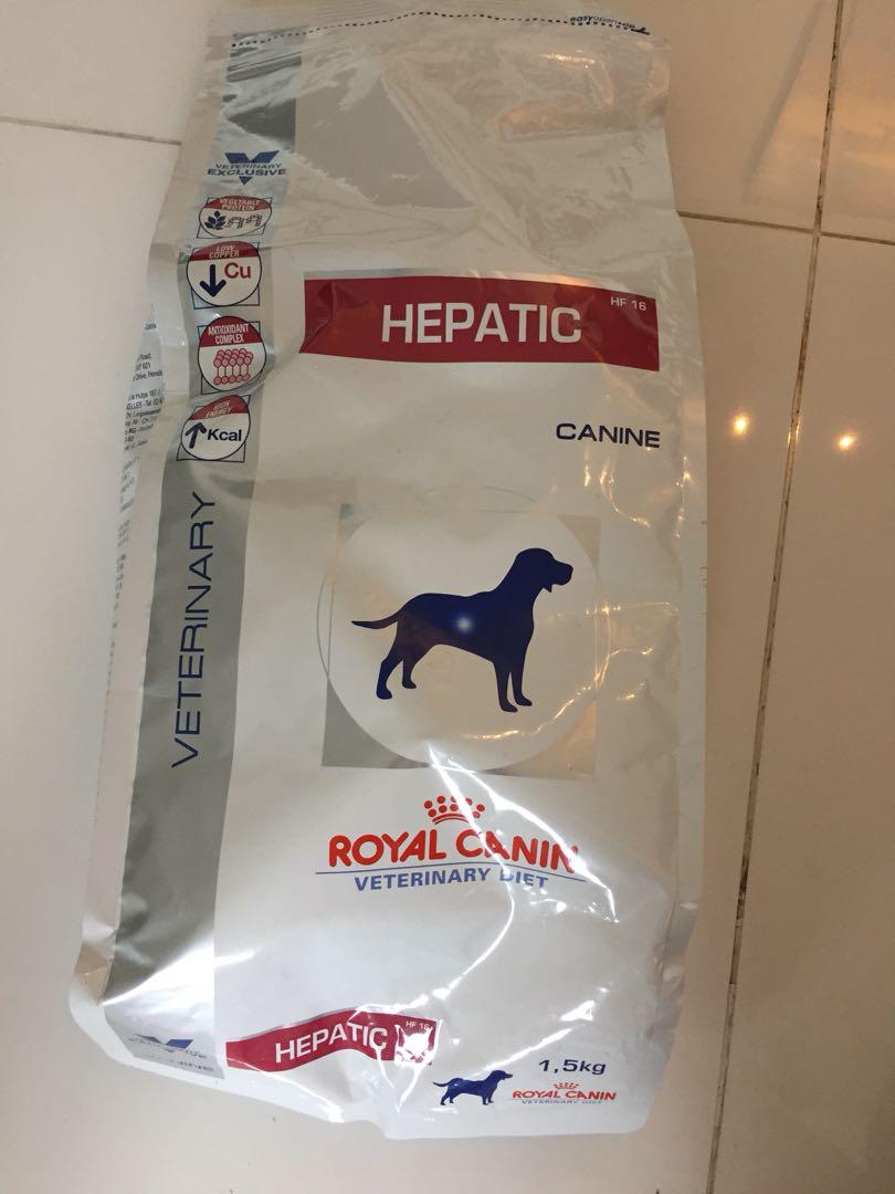 Royal Canin Hepatic Dog Food Pet Supplies For Dogs Dog Food On Carousell