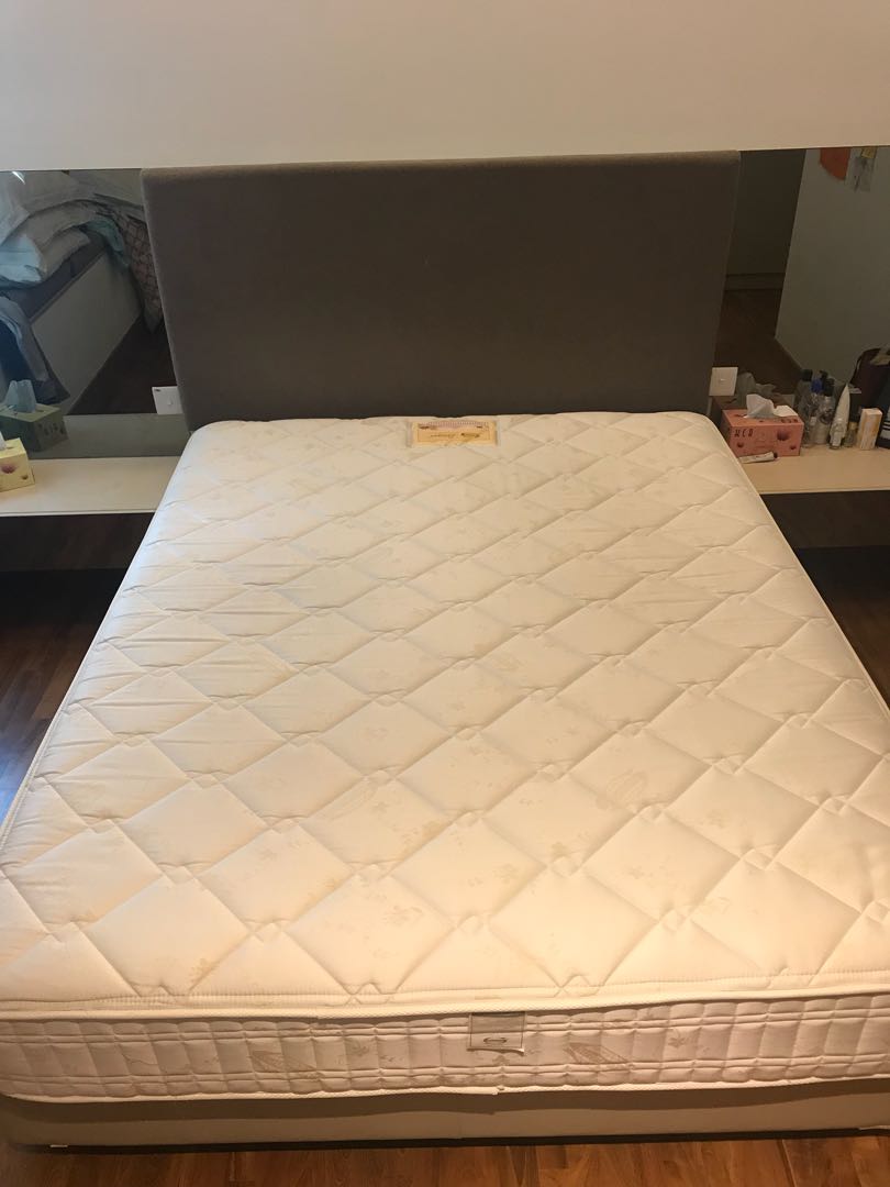 Simmons Beautyrest Mattress Arlington Plush Furniture Beds