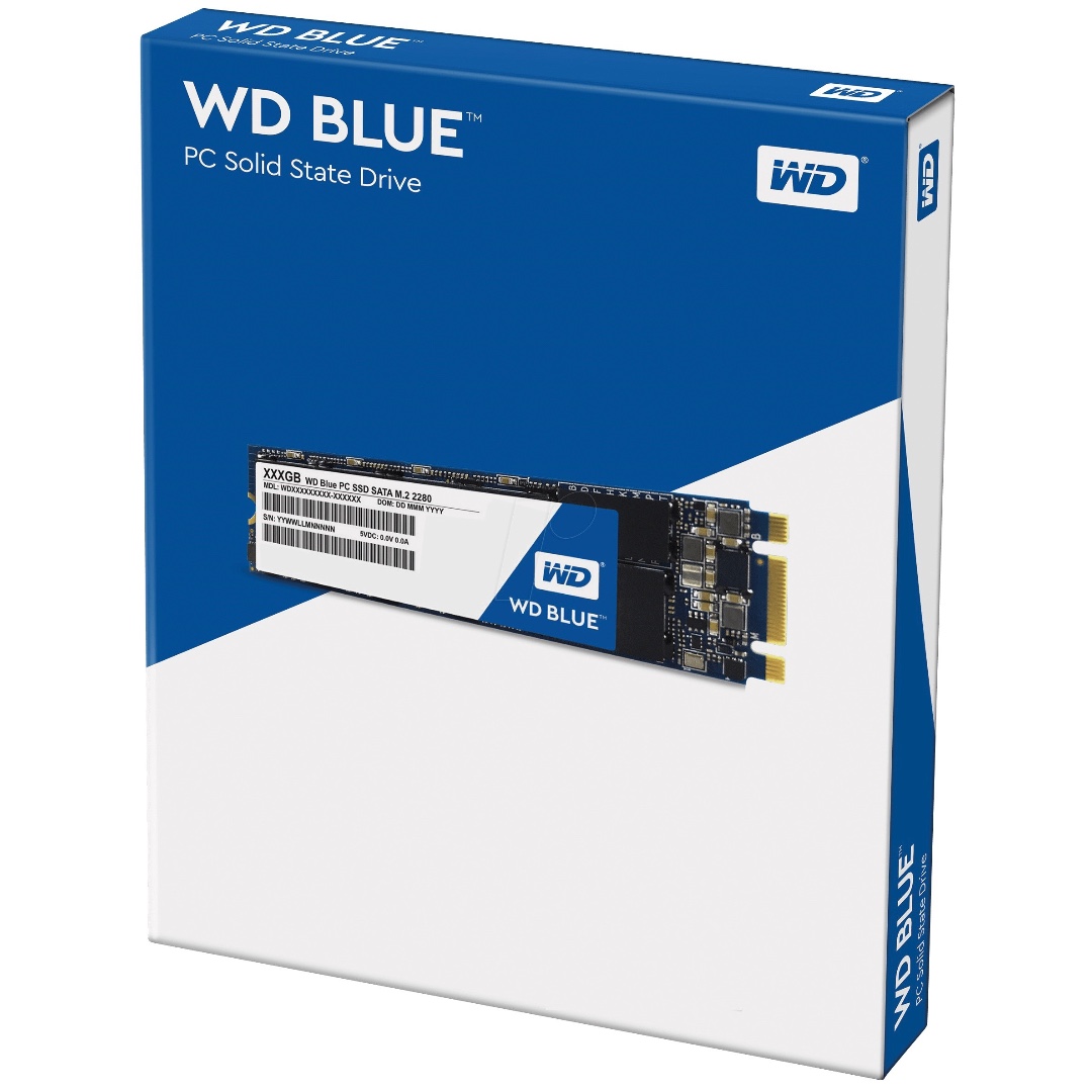 SSD WD Blue 3D NAND SATA 2.5 Pouces - 1 To, Haute Performance, Lectures Jusqu'à 560 Mo/s, écritures 530 Mo/s, Faible Consommation