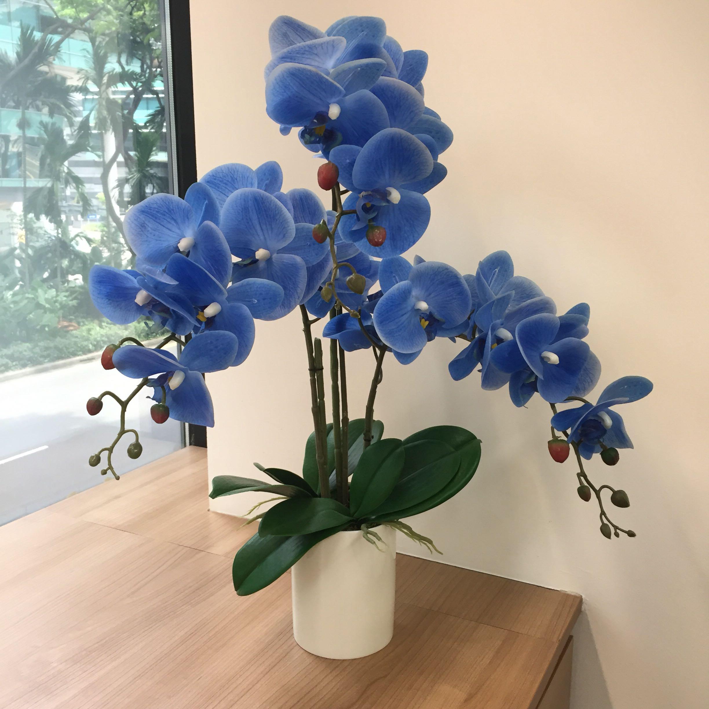 Artificial Potted Orchids Blue Gardening Pots Planters On Carousell