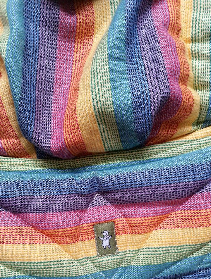 Baby Ergo Soft Structured Carrier, Babies & Kids, Strollers, Bags