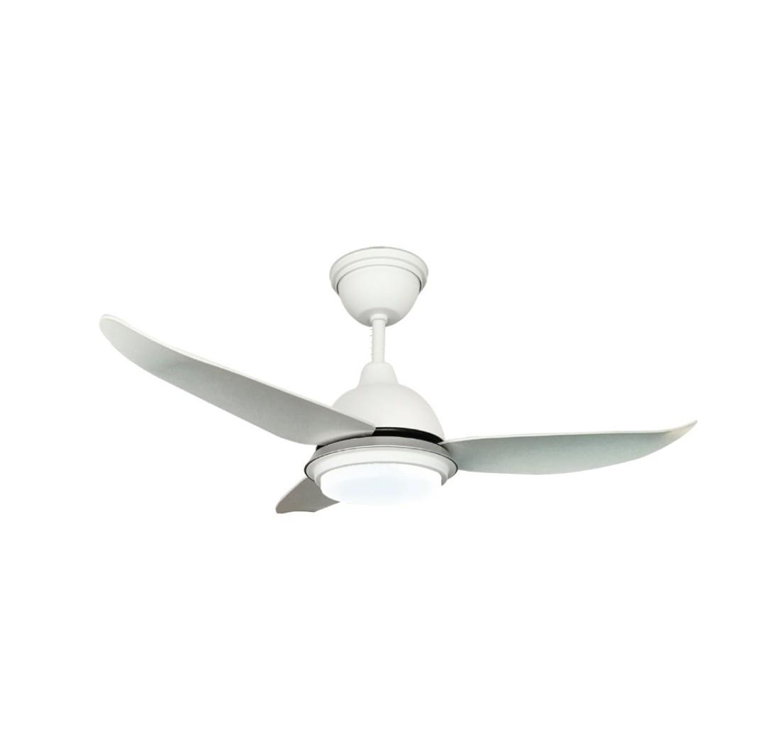 Cheapest Designer Ceiling Fan Rcf Ampio38 3bl Mb Home