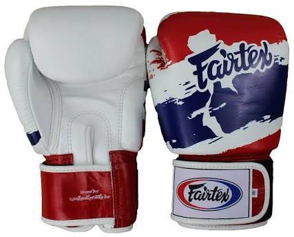 Fairtex thai pride gloves new arrivals