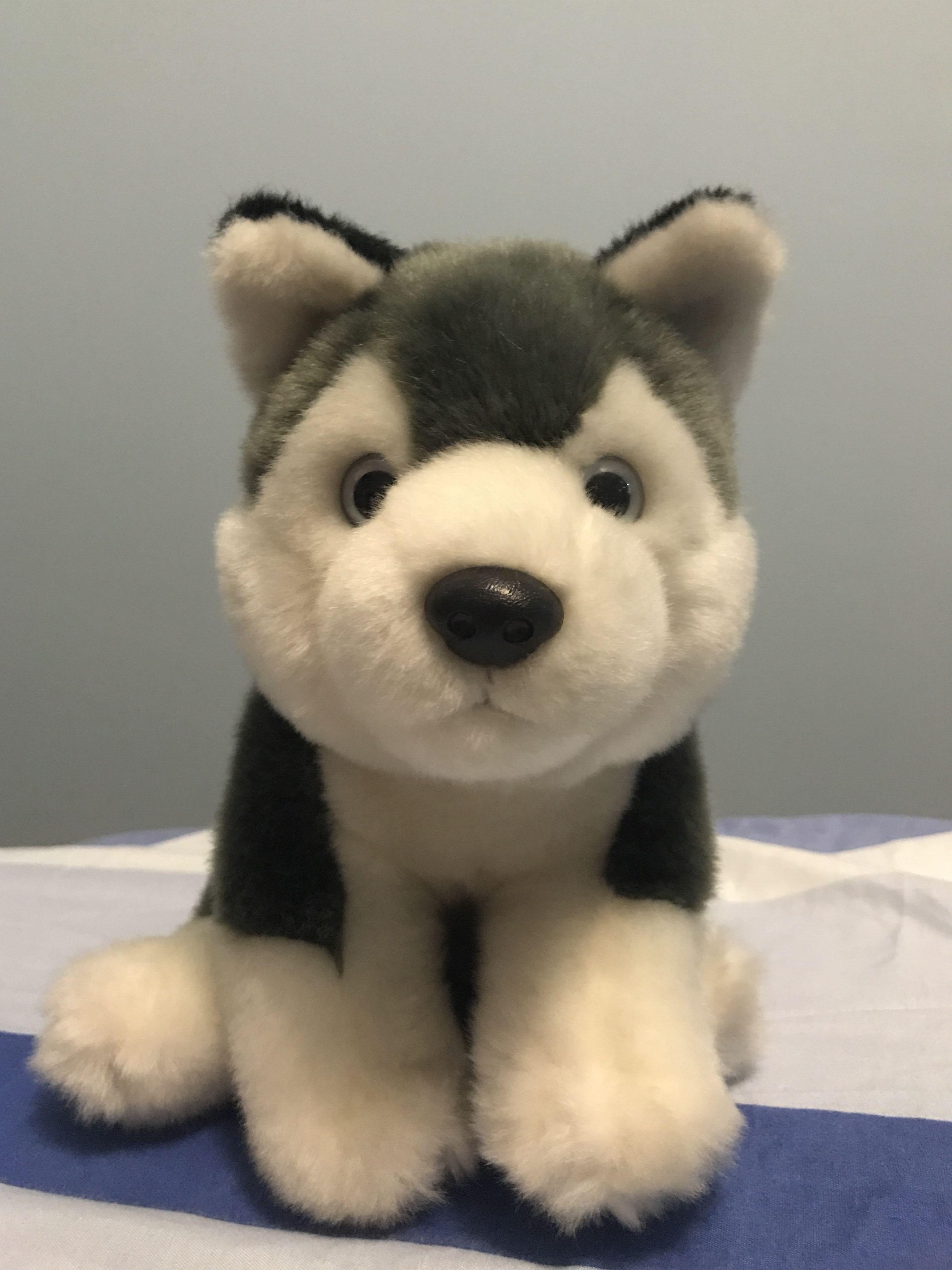 husky soft toy