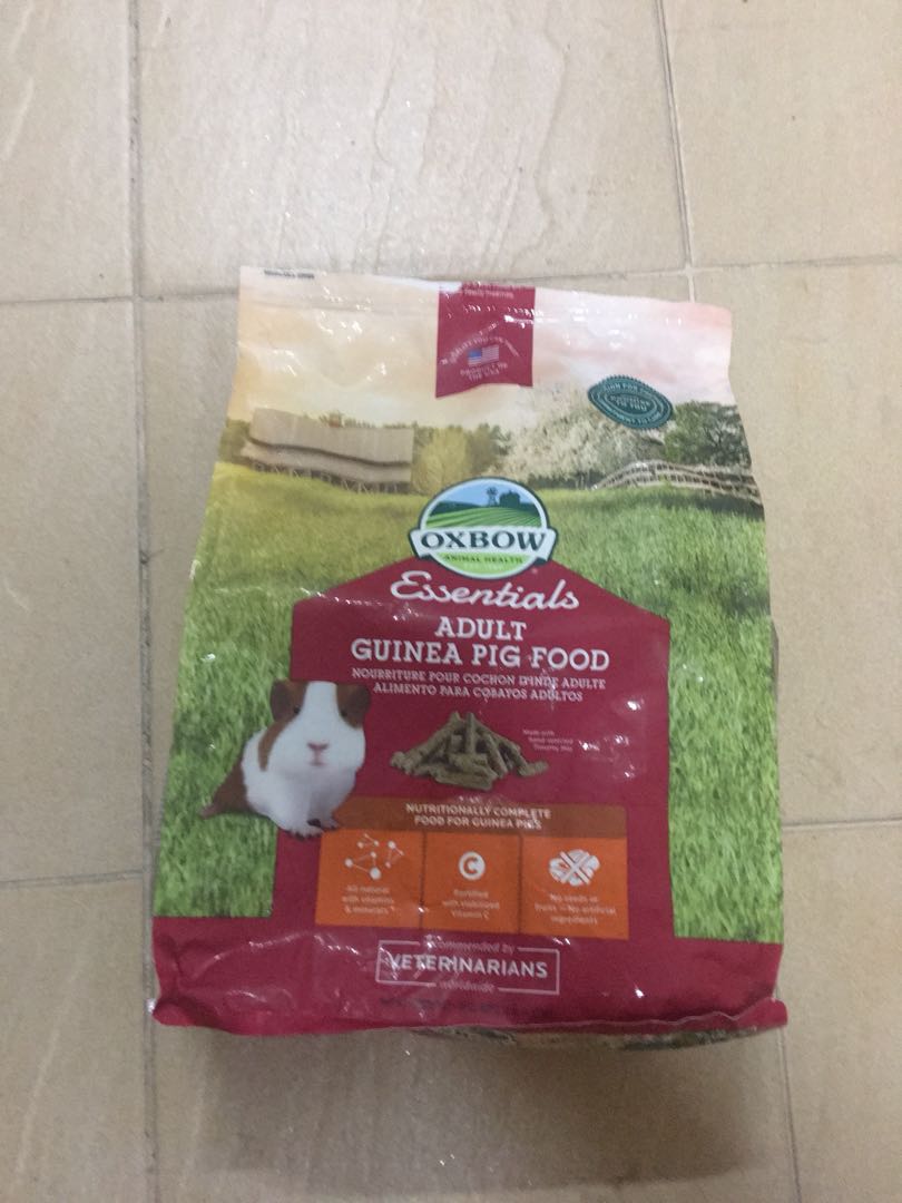 Oxbow Pet Foods And Others Stuff For Guinea Pig Pet Supplies For