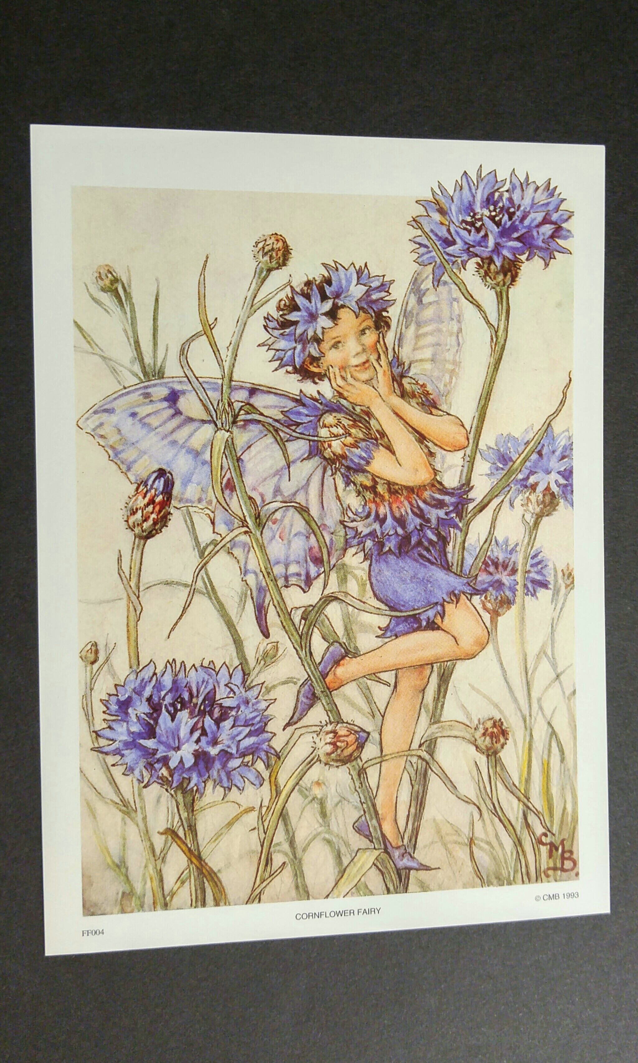 Paper Tole 5 X Prints Corn Flower Fairy Printed In Australia On