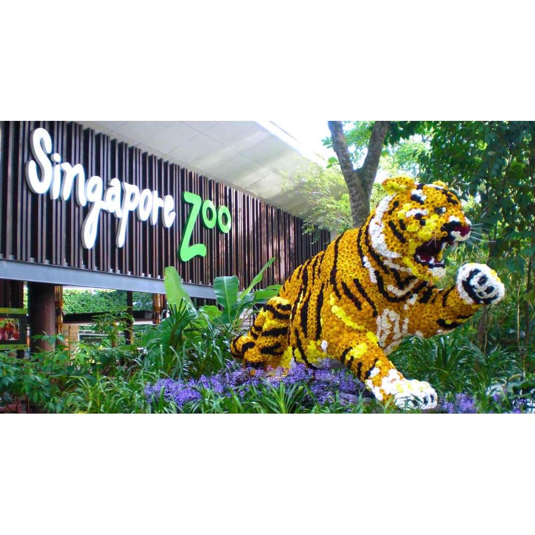 Singapore Zoo Admission Ticket Tickets Vouchers Attractions Tickets On Carousell