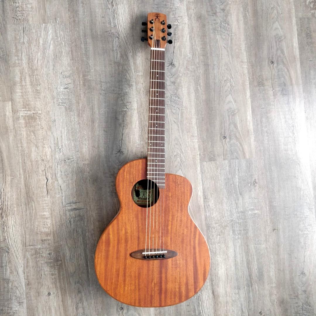 Anuenue Bird M2 guitar with pickup, Hobbies & Toys, Music & Media 