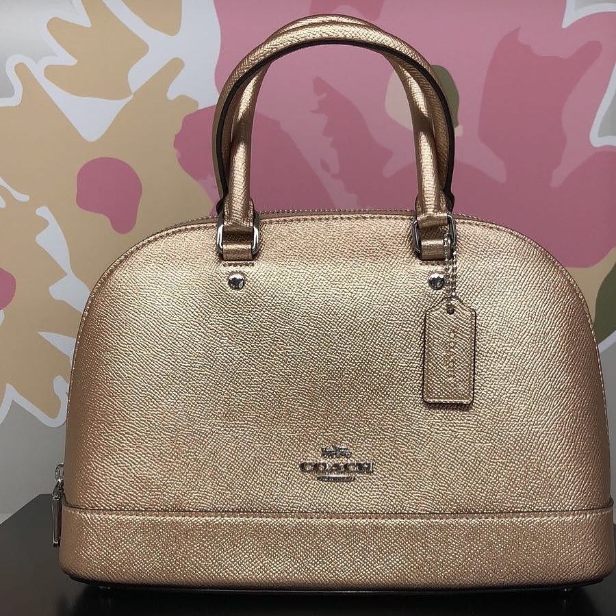 Coach mini sales sierra rose gold