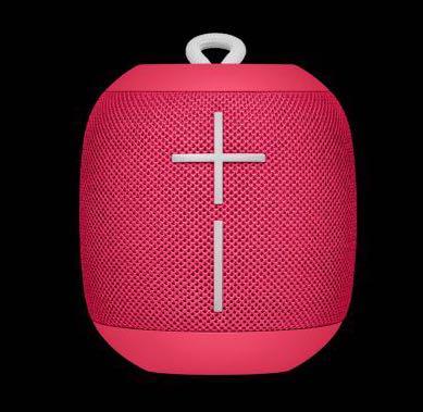 ue wonderboom raspberry