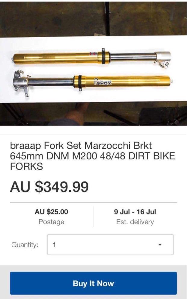 dnm pit bike forks