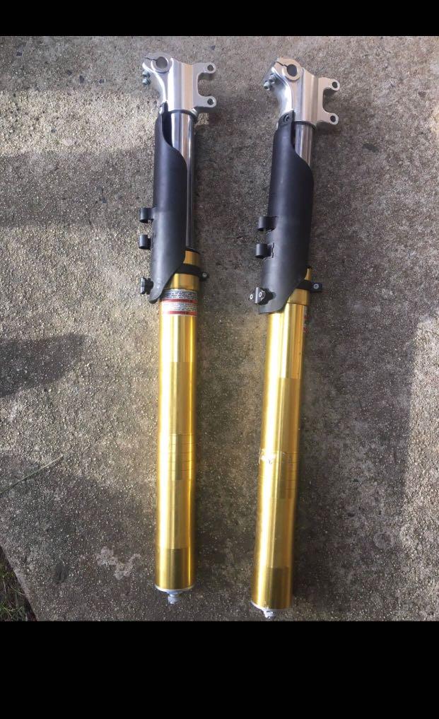 dnm pit bike forks