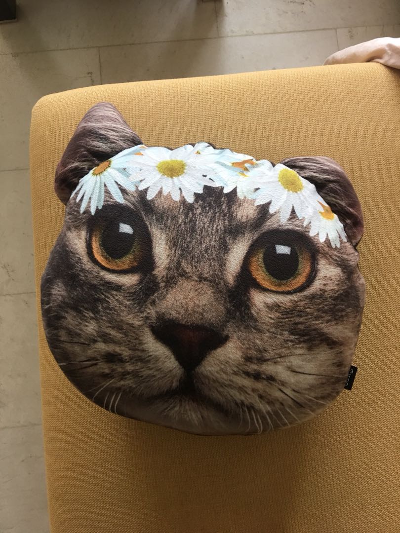 cat face pillow