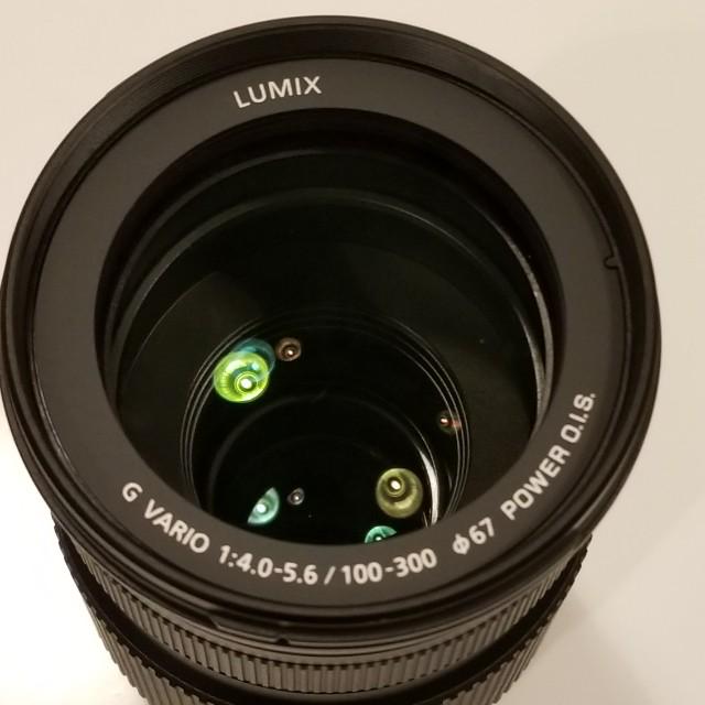 Panasonic 100 300mm Ii Power Ois Super Zoom Lens Photography