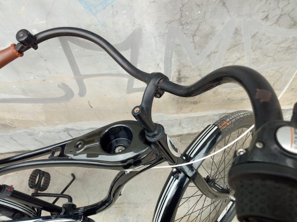 schwinn hornet 2018