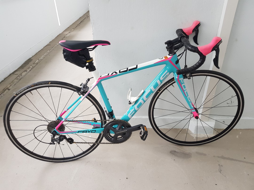Focus cayo best sale donna tiagra 2016