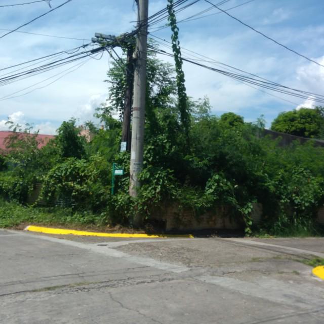Lot For Sale Remmanville Paranaque, Property, For Sale on Carousell