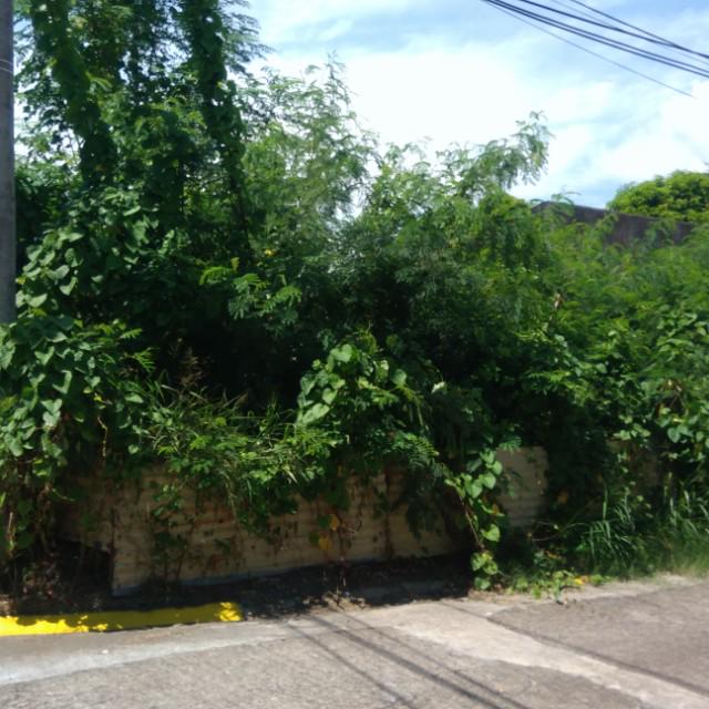 Lot For Sale Remmanville Paranaque, Property, For Sale on Carousell