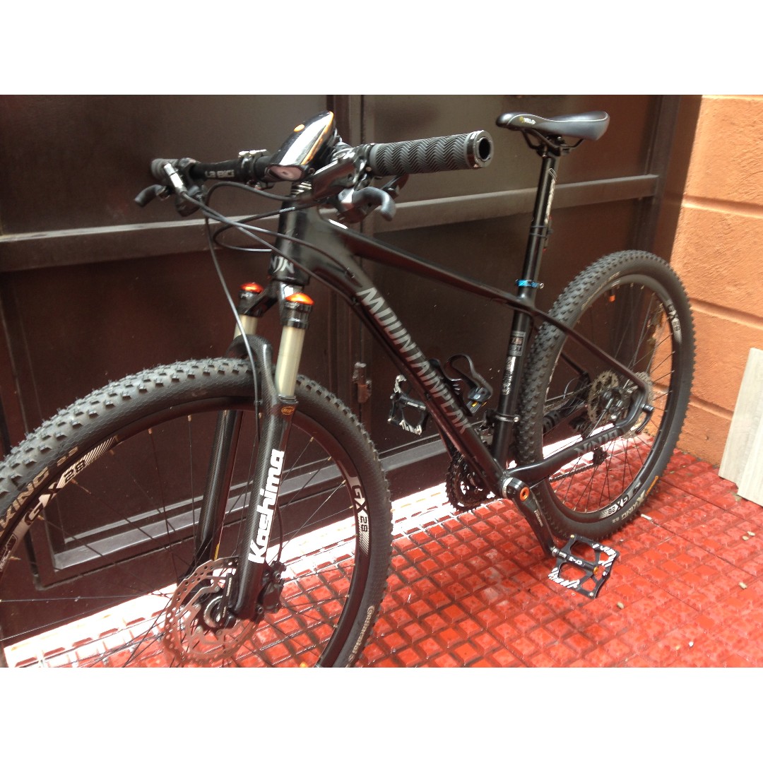 mountain peak storm 29er