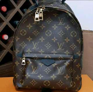 Louis Vuitton palm springs pm