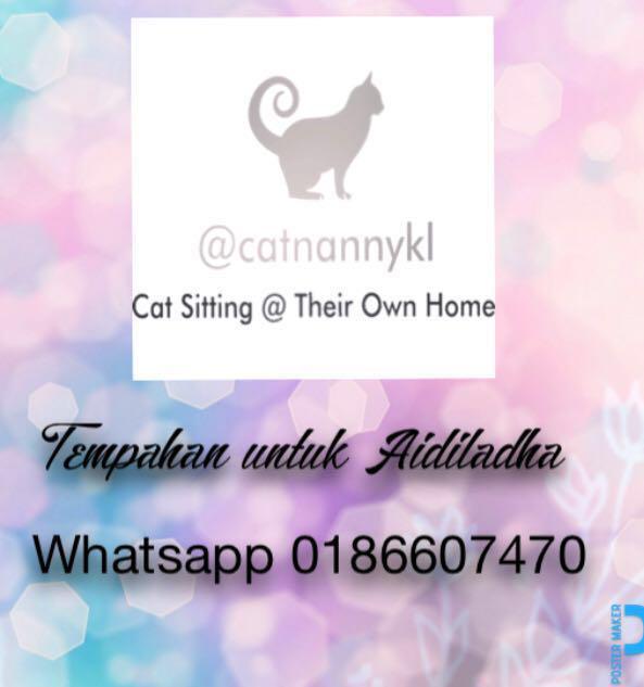 Cat Nanny Services For Hire Jaga Kucing Services Home Services Cleaning On Carousell