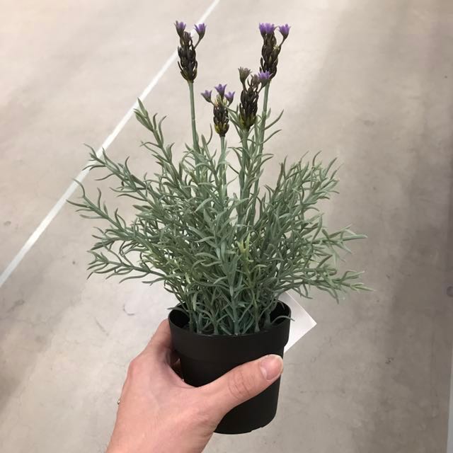 pflanztöpfe für zimmerpflanzen Der Planter - Übertopf aus Holz für Büro und Wohnzimmer main image 0