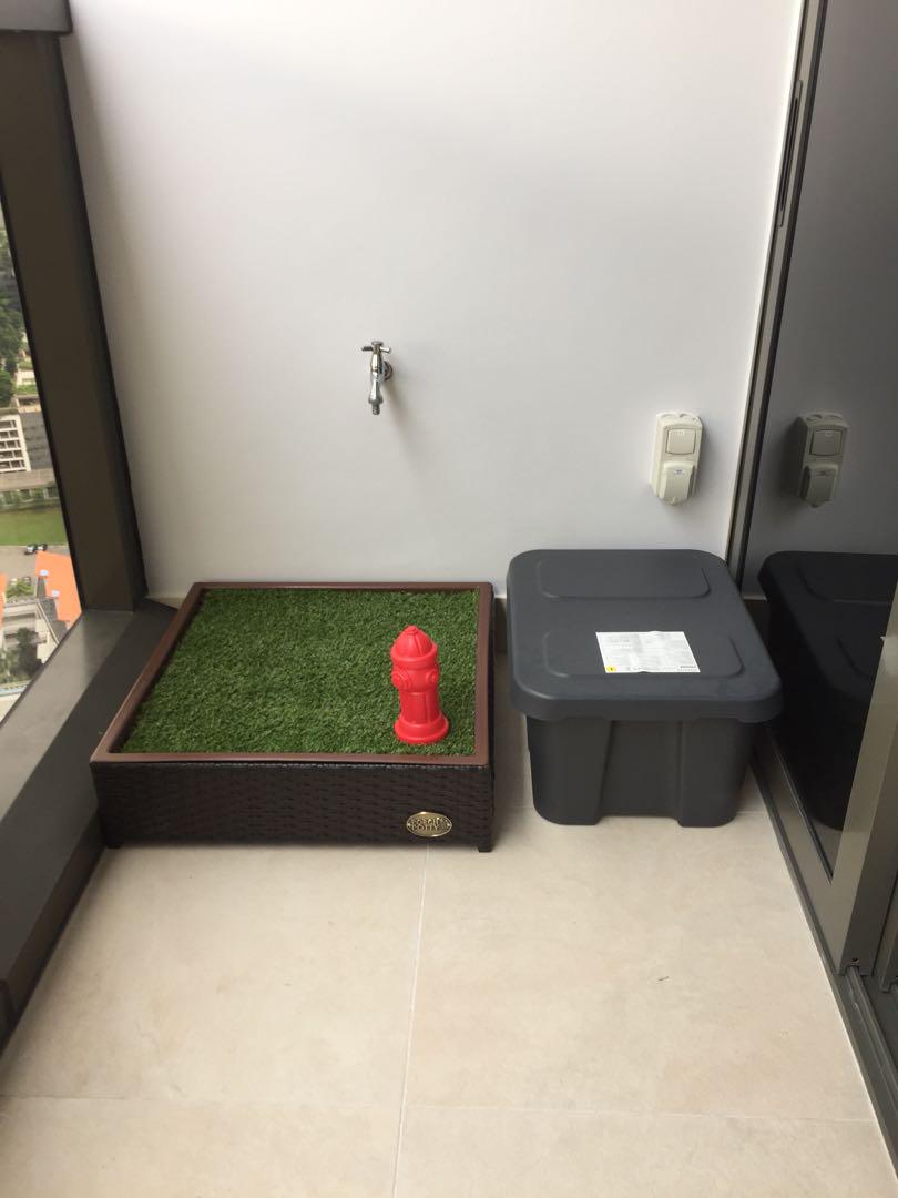 Small porch hot sale potty