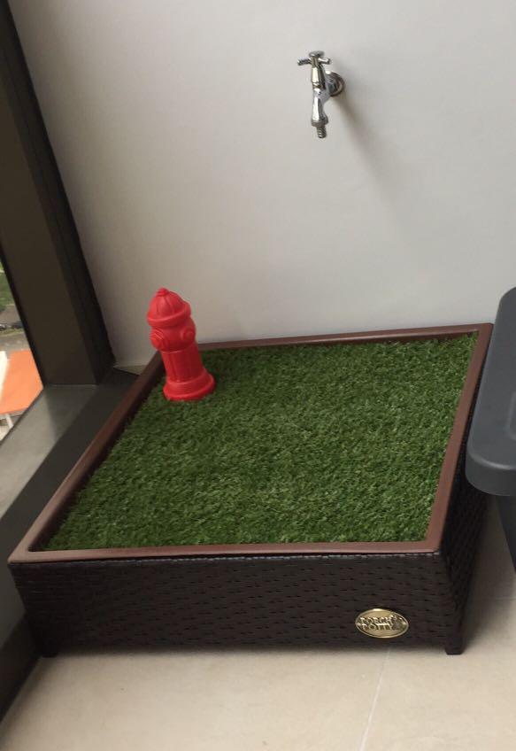Small store porch potty