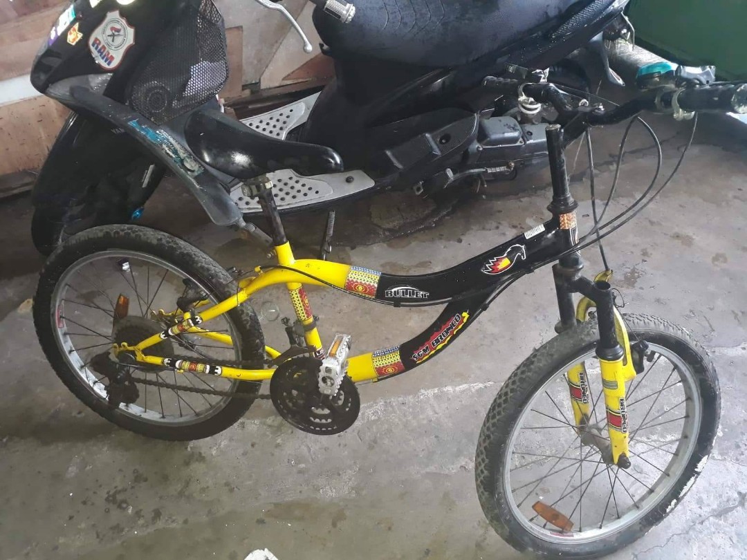 bronco bike fat tire