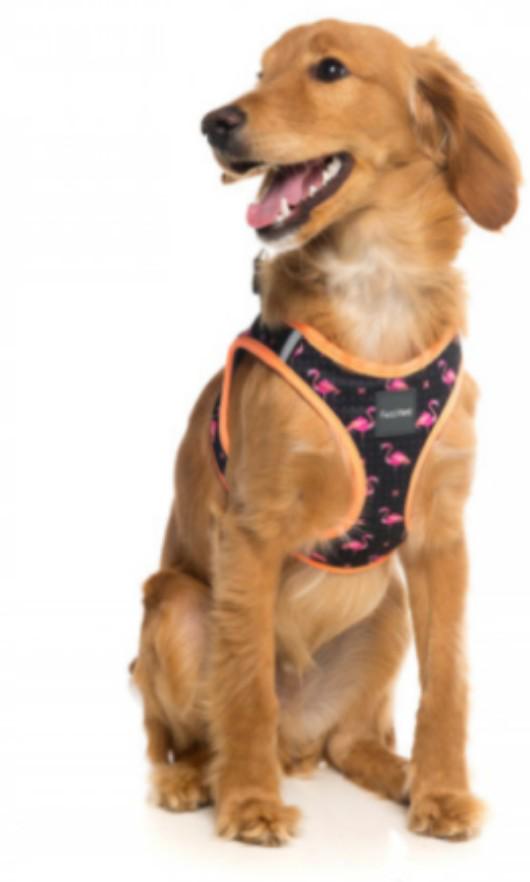 Fuzz Yard Flamingo Fabmingo Step In Dog Harness Pet Supplies For Dogs Dog Accessories On Carousell