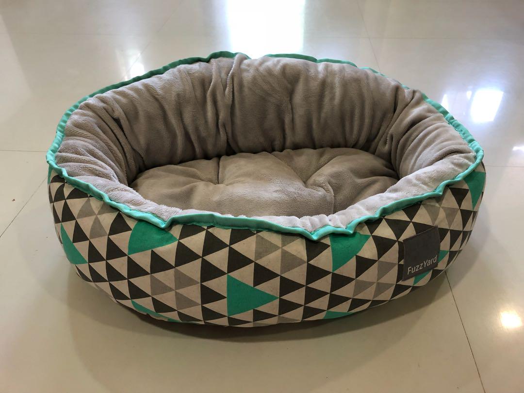 mint green dog bed