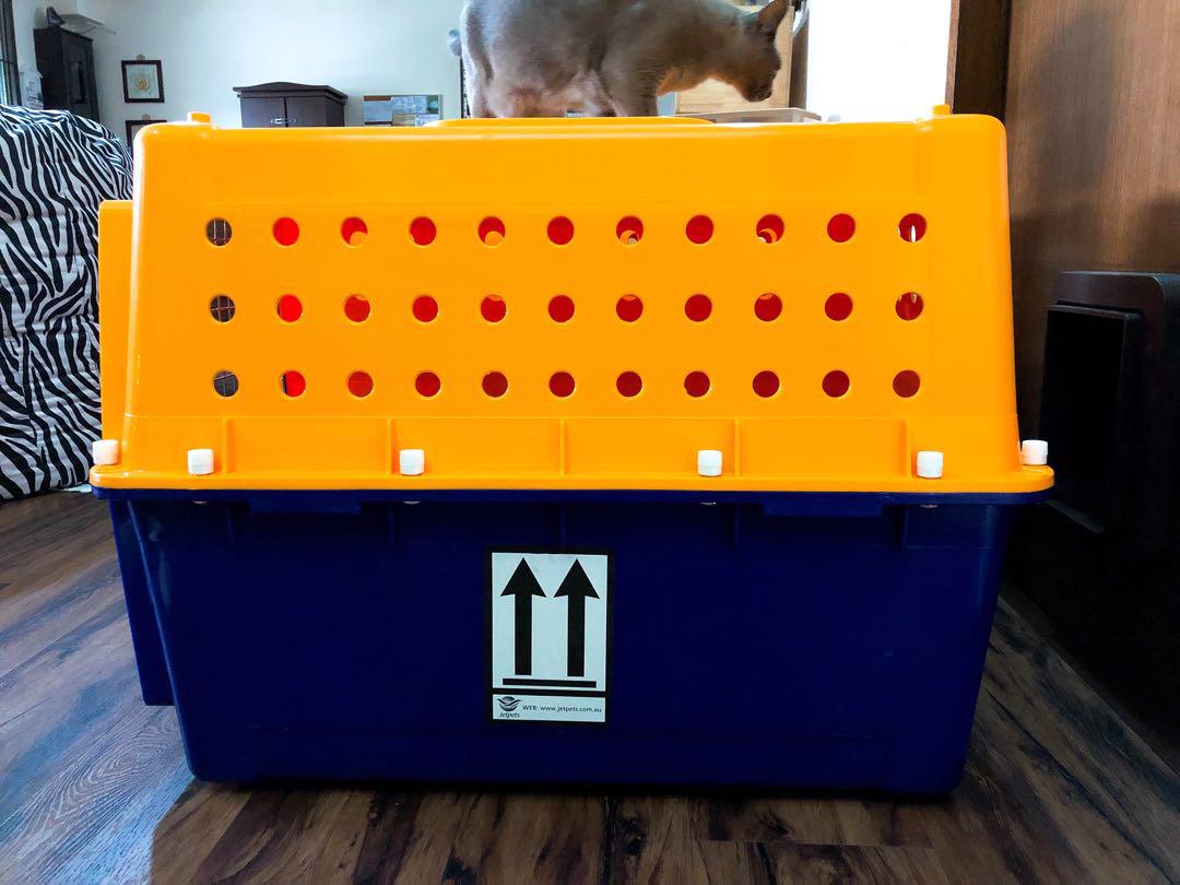 PP40 Airline Approved Large Pet Carrier Crate with Stay Dry Fleece Mat
