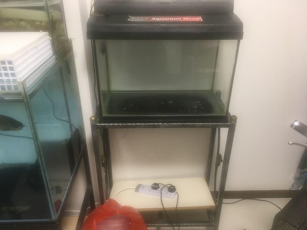 2ft tank wif stand and cover, Pet Supplies, Homes & Other Pet