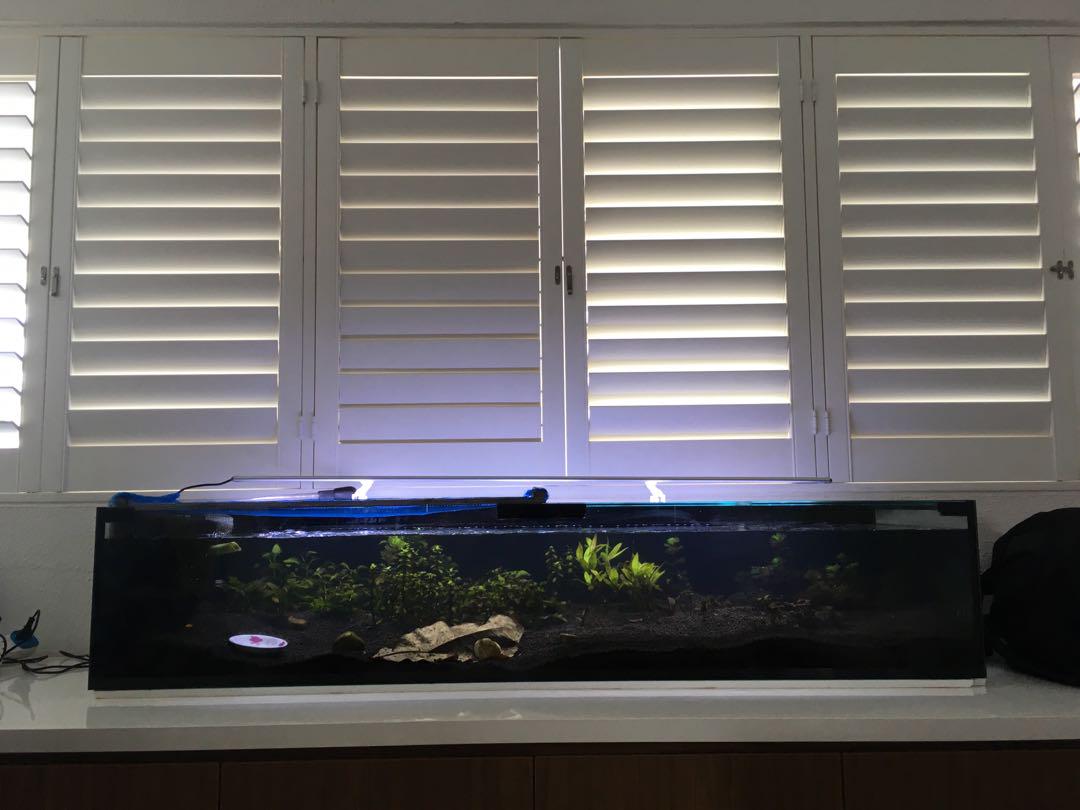 long fish tank