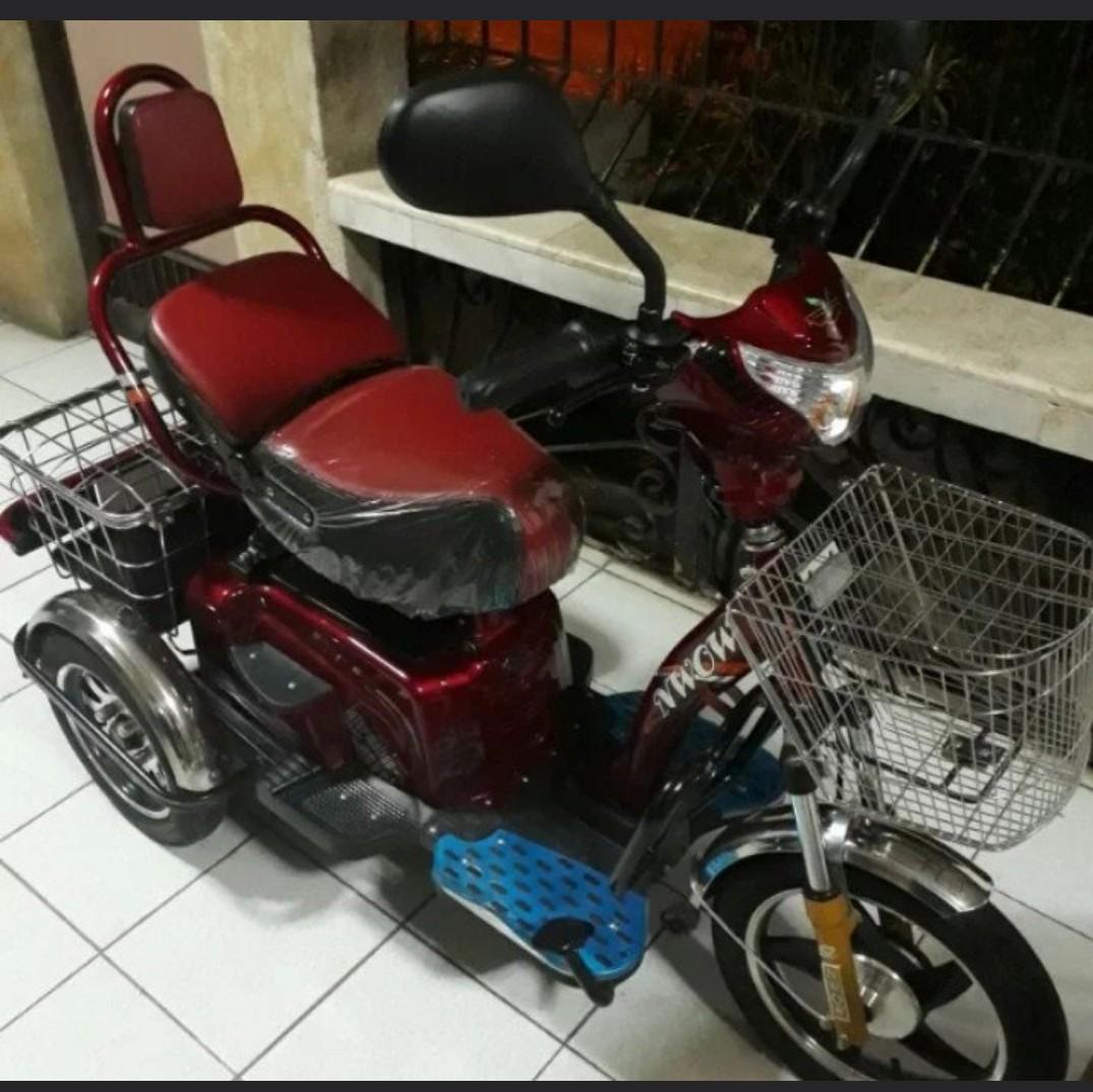 Tailg e bike price list hotsell
