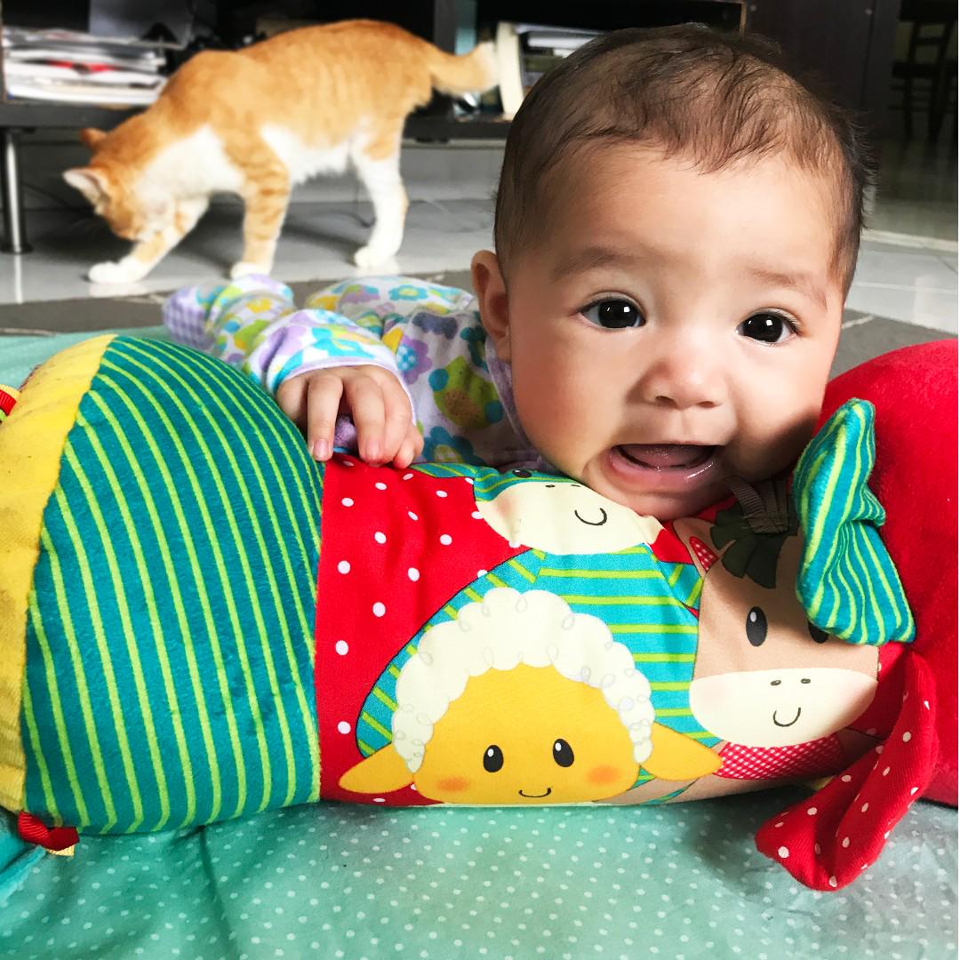 blossom farm tummy time roller