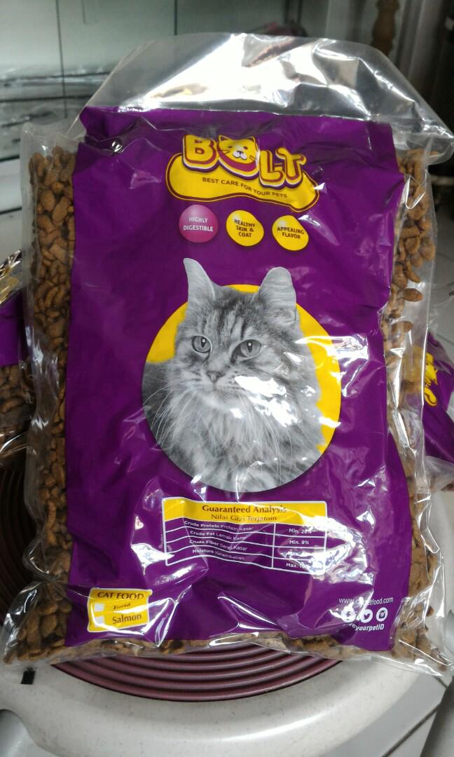 The Holy Ghost Electric Show Makanan Kucing Bolt Vs Nice