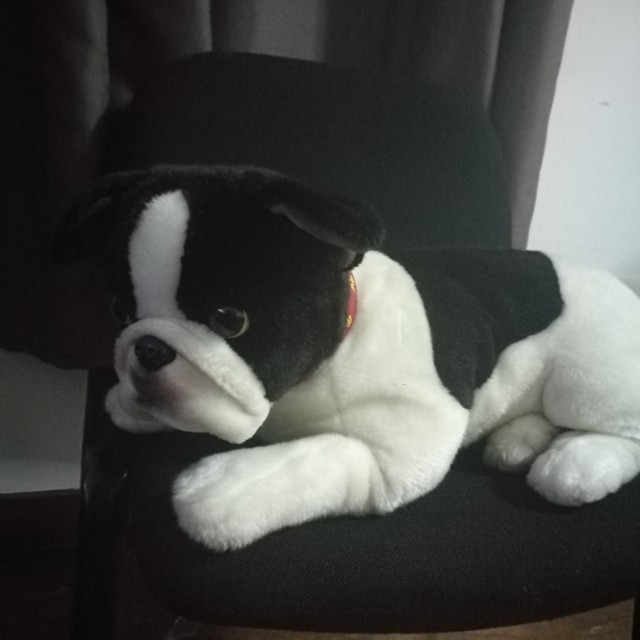 realistic french bulldog stuffed animal