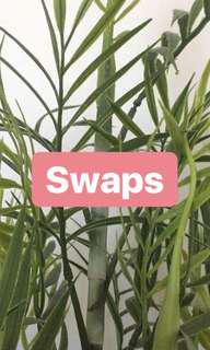 SWAPS X