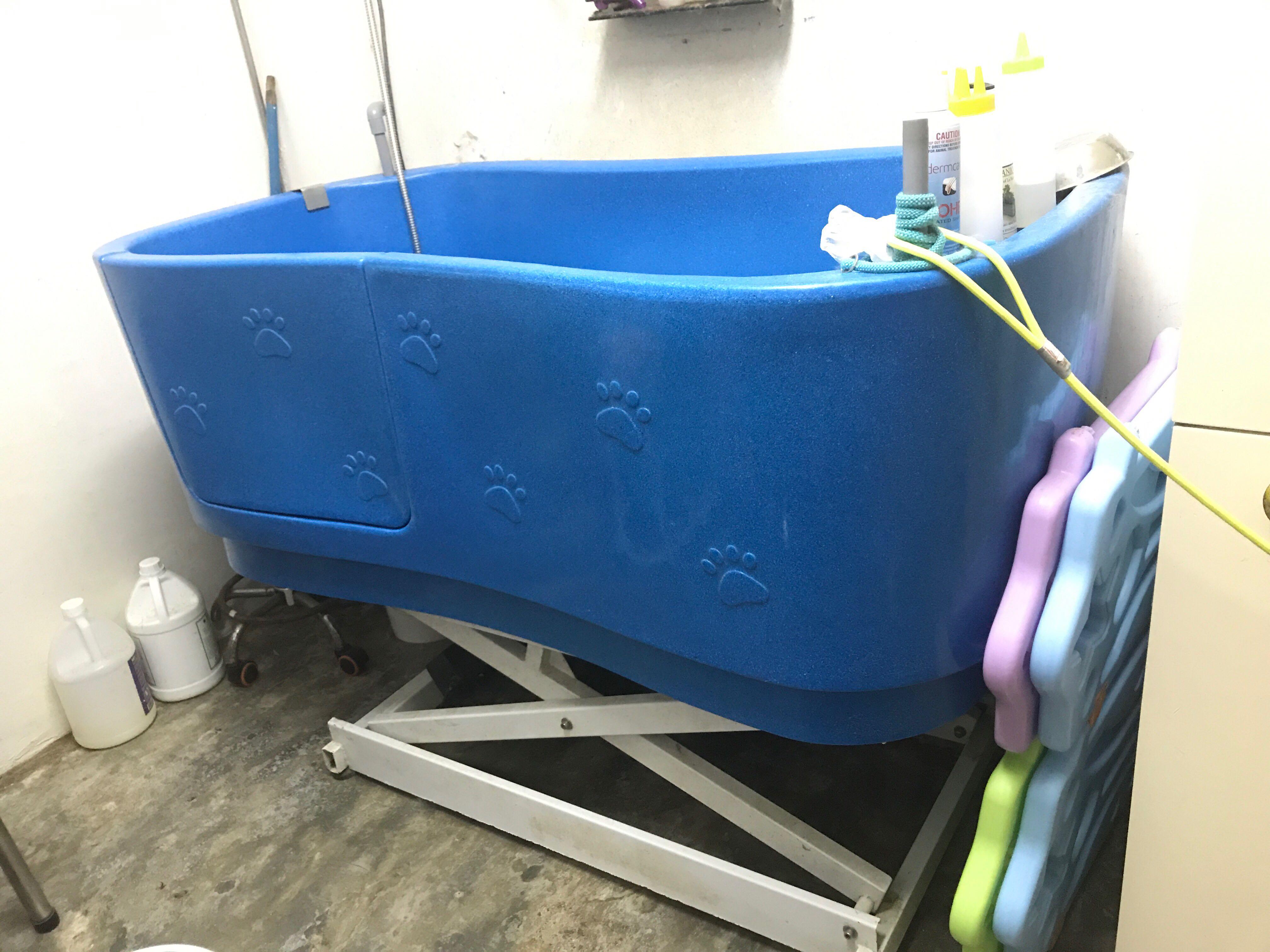 Neptune dog shop grooming bath