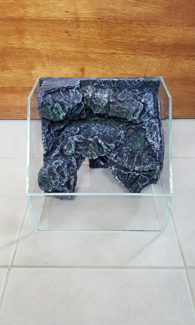 Paludarium Aquarium Mini Aquascape Pets Supplies Pet Accessories On Carousell