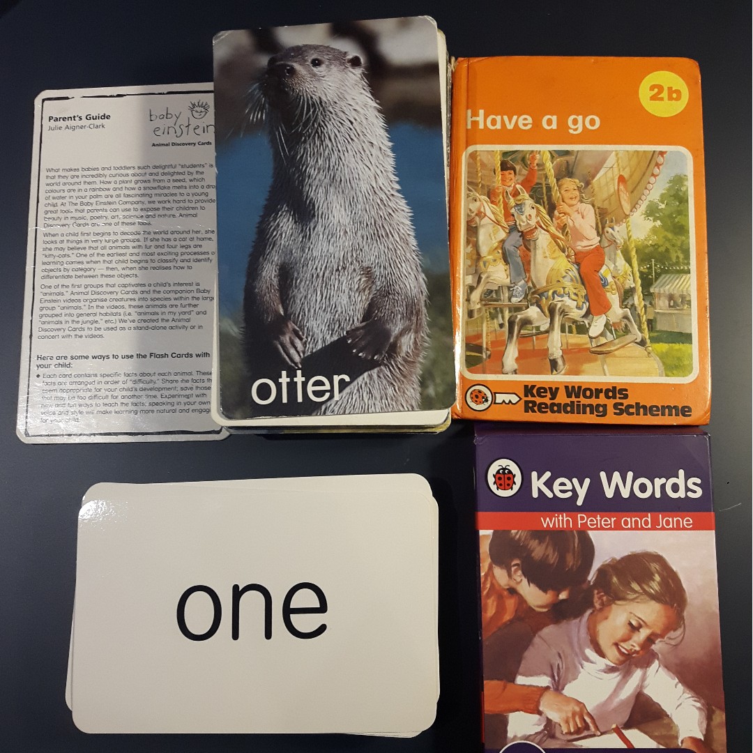 Peter Jane Flashcards 2b Book And Baby Einstein Animal Discovery Flashcards Babies Kids Others On Carousell