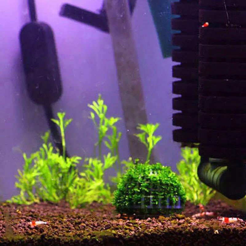1 Pcs Diy Aquarium Fish Tank Media Moss Ball Filter Decor For Live