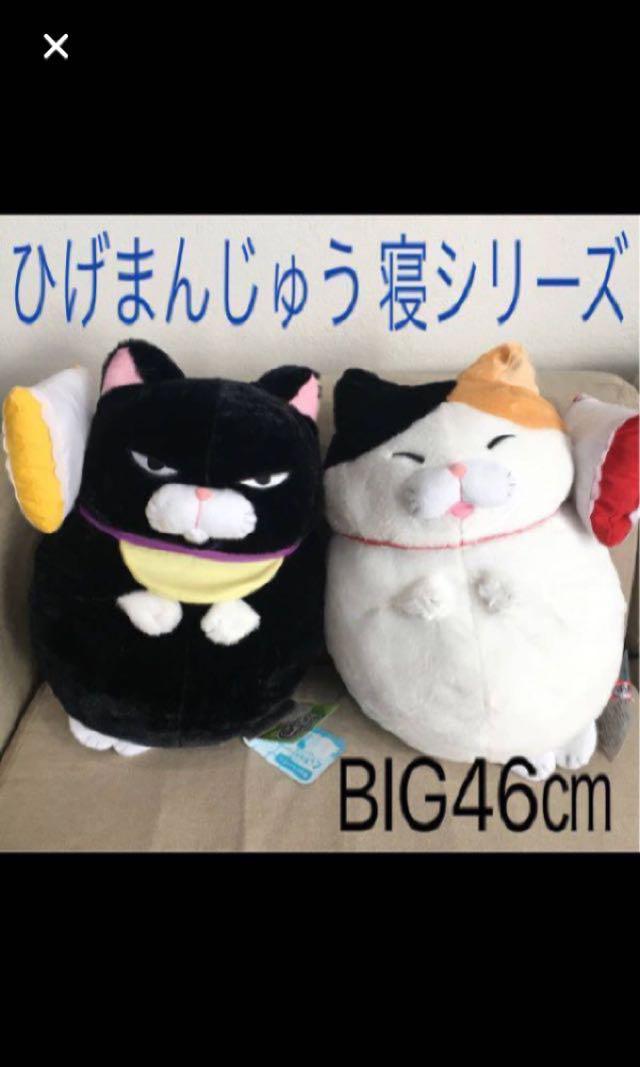 kuromame cat