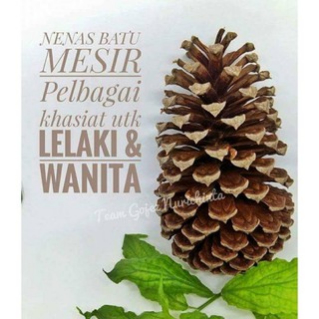 Nanas Batu Arab Health Beauty Bath Body On Carousell