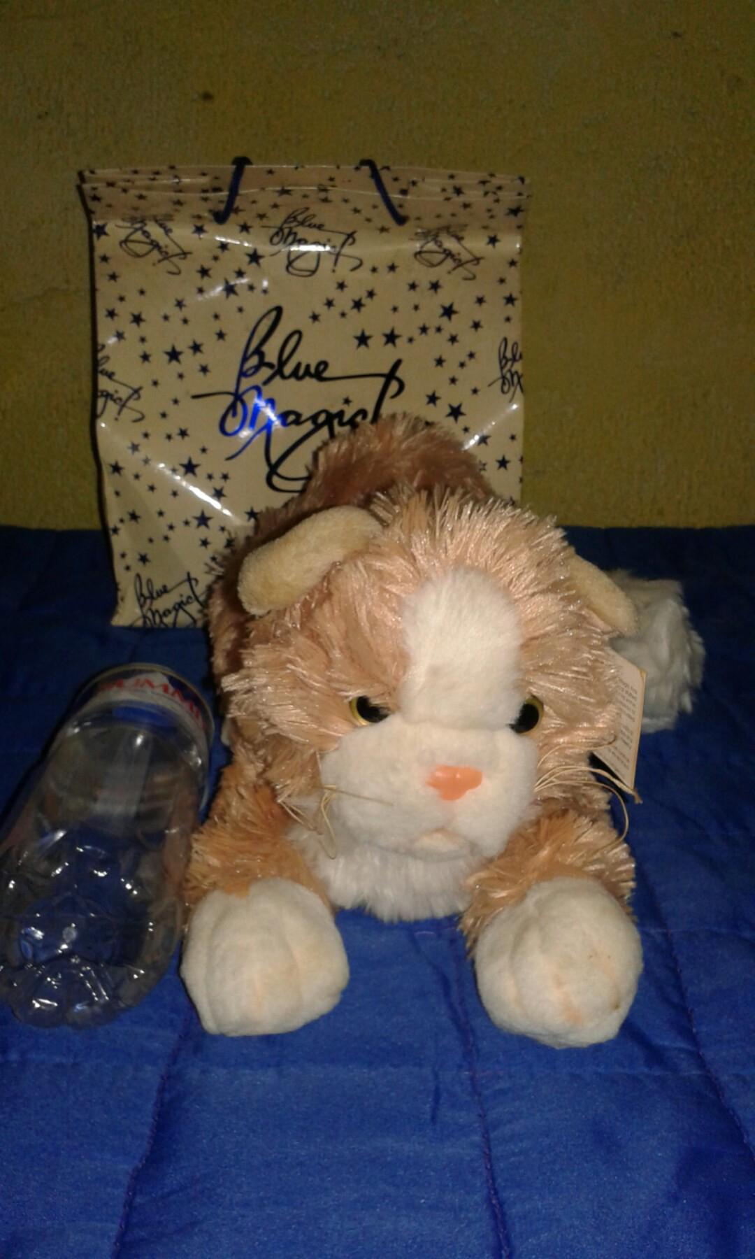 Cat stuffed toy blue magic top
