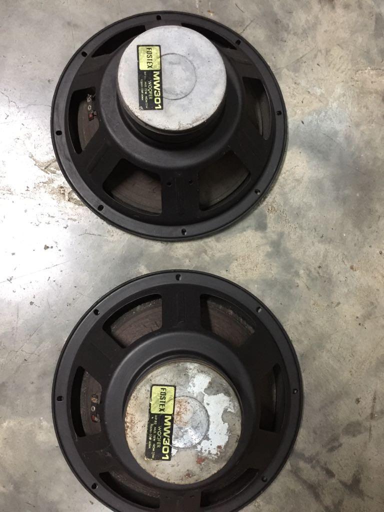 fostex woofer