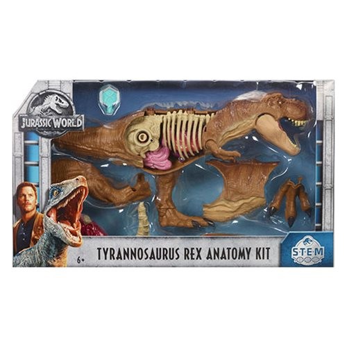 T rex hotsell anatomy kit