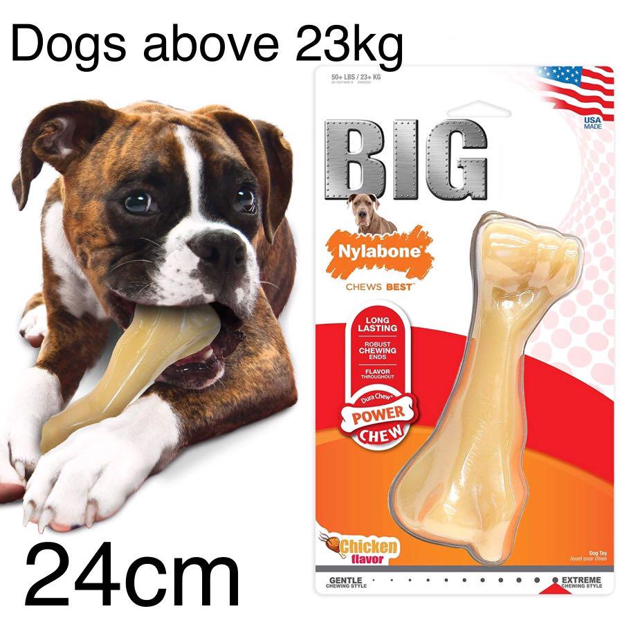 nylabone big chew durable toy bone for large breeds