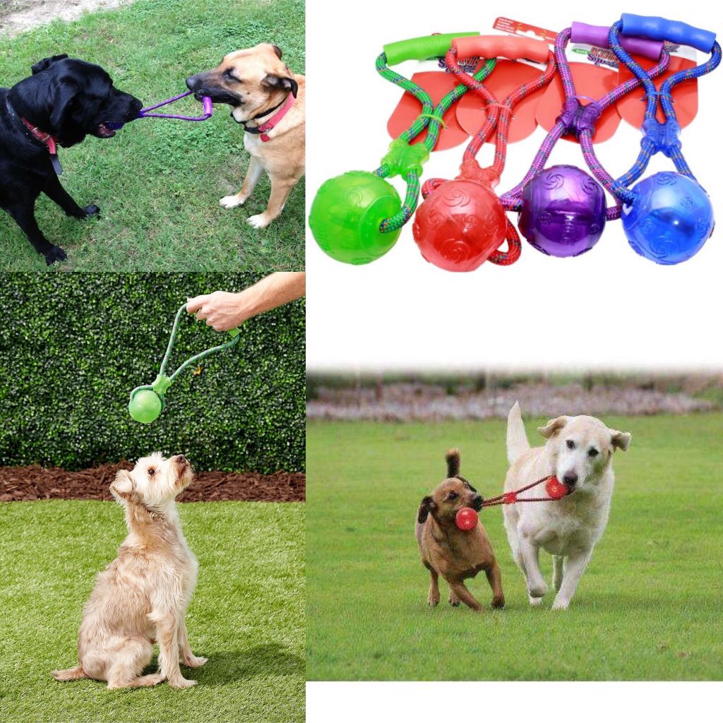 Brand New LARGE KONG Squeezz Ball with Handle Dogs Toy Tug Pet Supplies Homes Other Pet Accessories on Carousell
